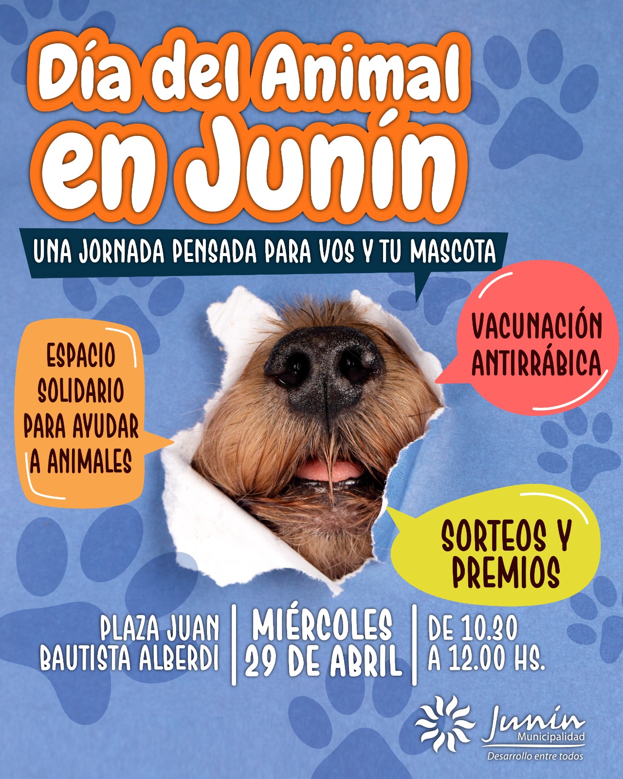 Imagen adicional