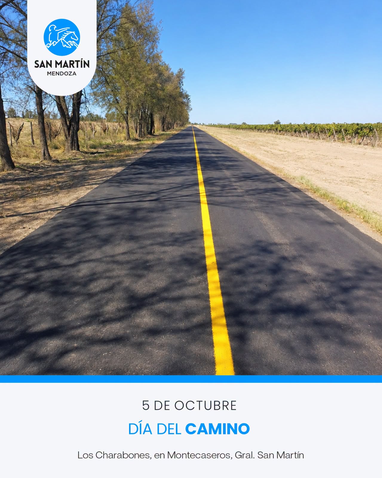 DÍA DEL CAMINO